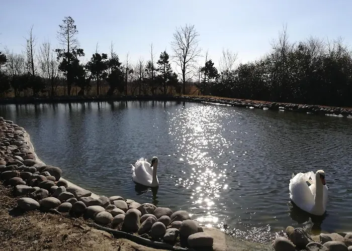 فندق مبيت وإفطار Dei Cigni Reali 3*