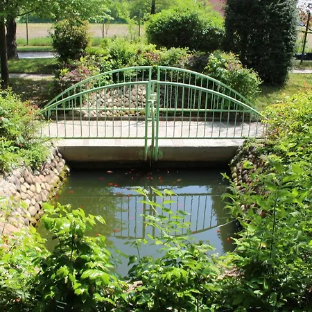 Dei Cigni Reali Carpi