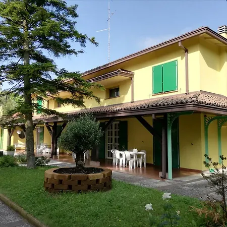 Dei Cigni Reali *