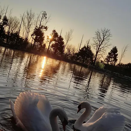 Dei Cigni Reali Bed & Breakfast