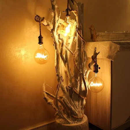 Dei Cigni Reali カルピ