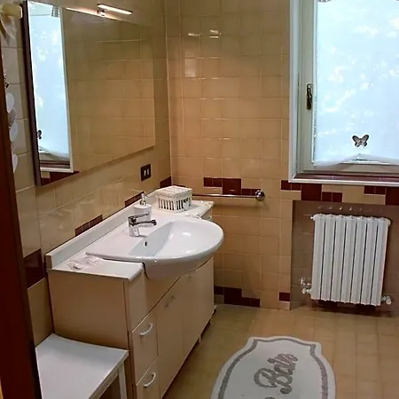 Dei Cigni Reali Carpi