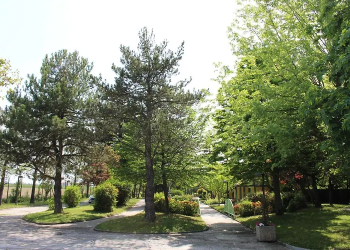 Dei Cigni Reali Carpi