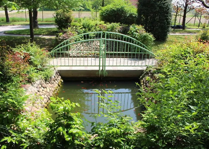 Dei Cigni Reali 카르피