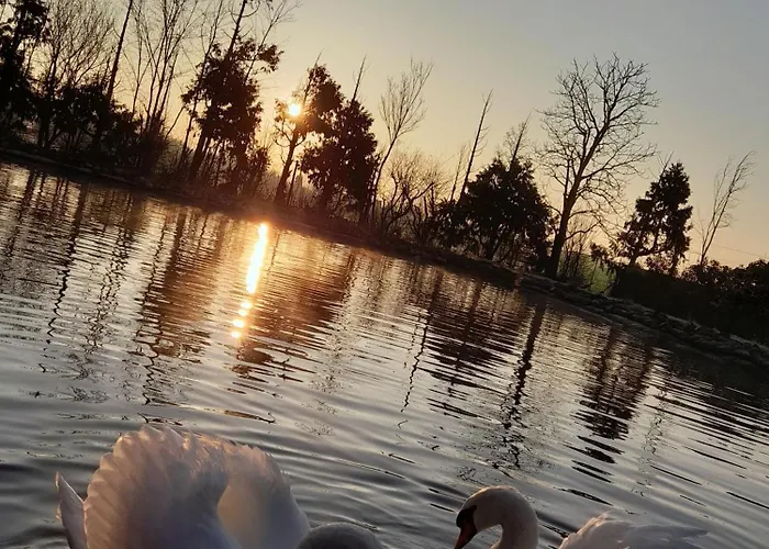 Dei Cigni Reali Bed & Breakfast