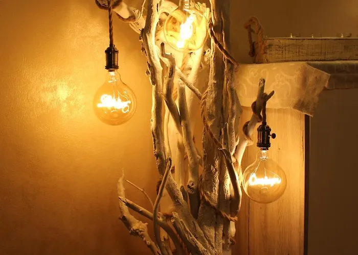 Dei Cigni Reali Carpi